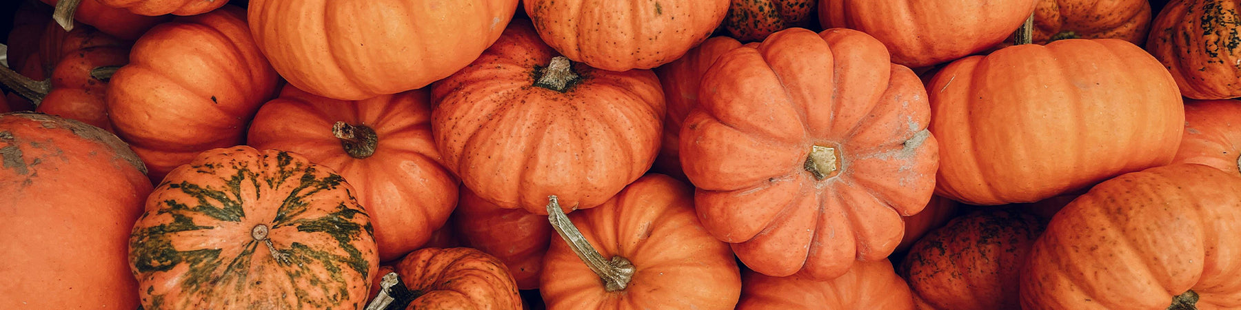 Ricetta d'autunno: parmigiana di zucca