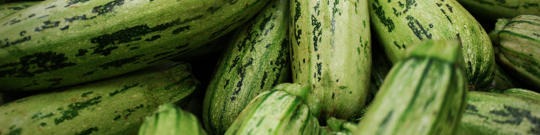 Ricetta di primavera: spiedini di zucchina e provola alle erbe aromatiche