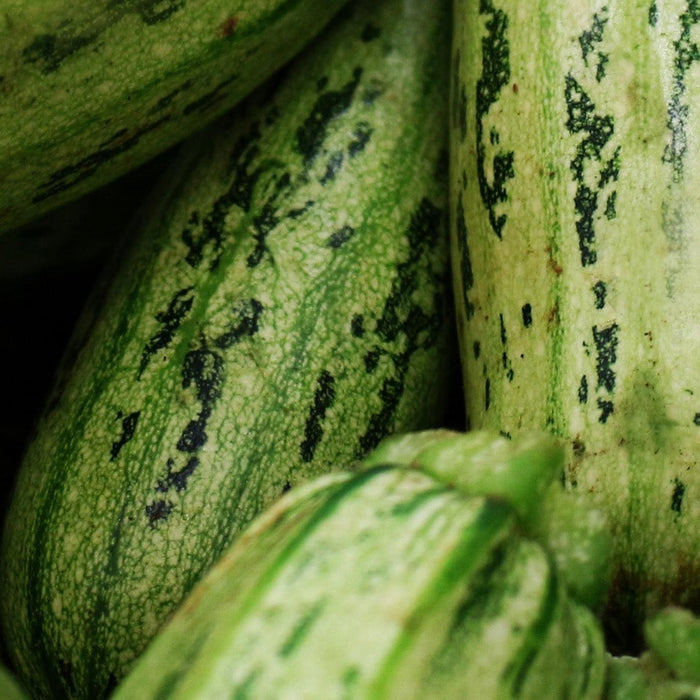 Ricetta di primavera: spiedini di zucchina e provola alle erbe aromatiche