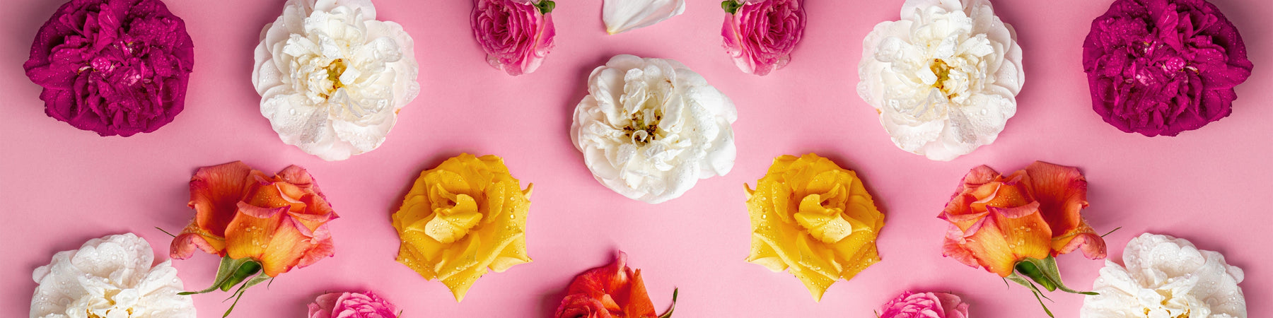 Risotto alle rose, il piatto romantico per celebrare la Festa della Donna