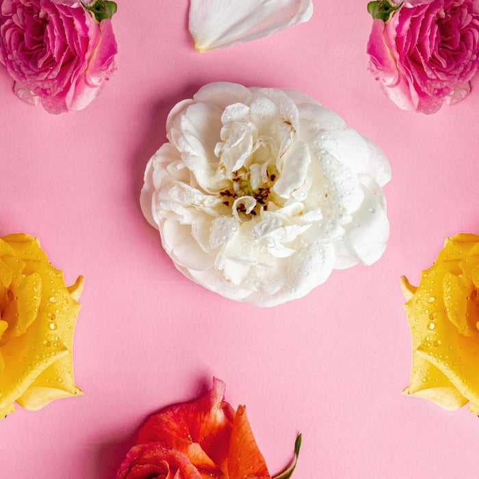 Risotto alle rose, il piatto romantico per celebrare la Festa della Donna